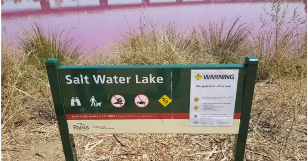 호주 멜버른 출장 중 발견한 핑크 호수|Westgate Park Salt Lake